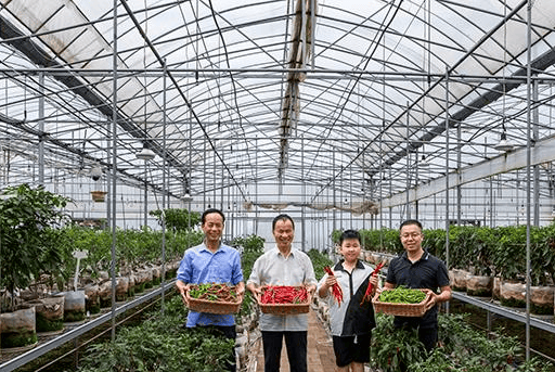 【品牌人物库·重点推荐】“辣椒大王”杨意红(3) 【品牌人物库·重点推荐】“辣椒大王”杨意红(3)
