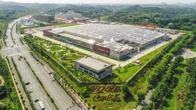 中粮可口可乐设立“志愿者日”,以央企担当赋能社会高质量发展(3) 中粮可口可乐设立“志愿者日”,以央企担当赋能社会高质量发展(3)
