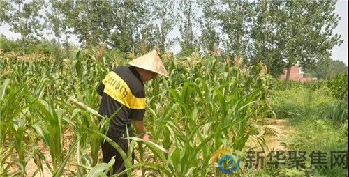 他700分考上清华,花30元喝牛肉汤庆祝,领通知书前还在地里干活(图4) 他700分考上清华,花30元喝牛肉汤庆祝,领通知书前还在地里干活(4)