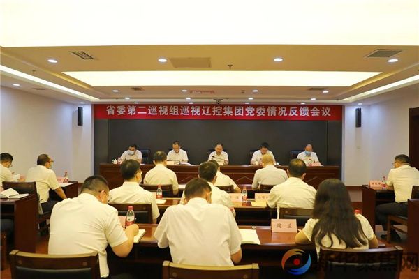 省委巡视组反馈十二届省委第十二轮巡视情况(图8)